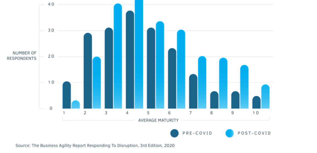 Respondents Graph